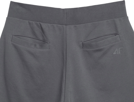 Spodenki męskie 4F M074 szare 4FSS23TSHOM074 22S