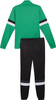 Dres męski Puma Team Rise zielono-czarny 658653 05