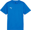 Koszulka dla dzieci Puma TeamGoal Jersey niebieska 658637 02