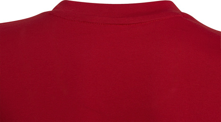 Koszulka dla dzieci adidas Entrada 22 Tee czerwona HC0446