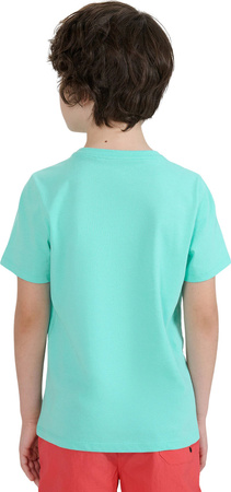 Koszulka dla chłopca 4F M1917 miętowa 4FJWSS25TTSHM1917 47S