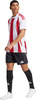 Koszulka męska adidas Striped 24 Jersey biało-czerwona IW2142