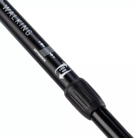 Kije kijki nordic walking trekkingowe regulowane Martes essentials Centaurus 83,5-135 cm