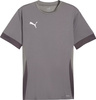Koszulka męska Puma teamGoal Matchday Jersey szara 705747 13