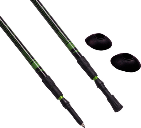 Kije kijki Nordic Walking Scout Bjorn zielone 3cz