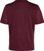 Koszulka dla dzieci adidas Tabela 23 Jersey bordowa IB4933