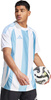 Koszulka męska adidas Striped 24 Jersey biało-błękitna IW4555
