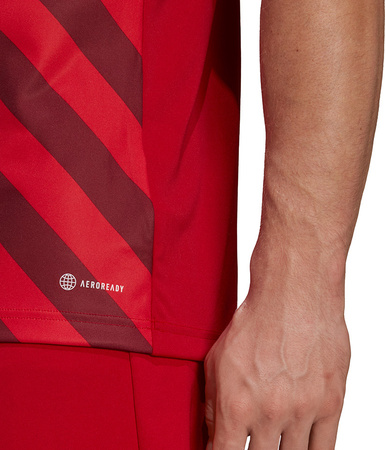 Koszulka męska adidas Entrada 22 Graphic Jersey czerwono-bordowa HB0572