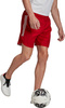 Spodenki treningowe krótkie męskie adidas Condivo 20 Shorts czerwone FI4569