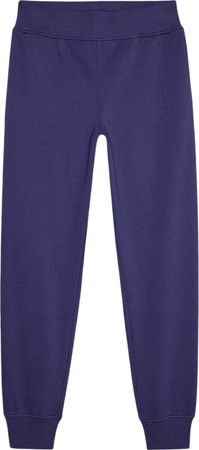 Spodnie damskie 4F F0946 granatowe 4FWMM00TTROF0946 31S