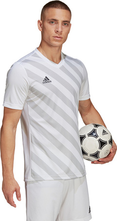 Koszulka męska adidas Entrada 22 Graphic Jersey biało-szara HF0129