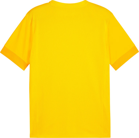 Koszulka męska Puma teamGoal Matchday Jersey żółta 705747 07