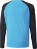 Bluza bramkarska dla dzieci Puma teamPACER GK LS Jersey niebieska 704939 40