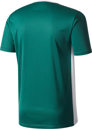 Koszulka dla dzieci adidas Entrada 18 Jersey JUNIOR zielona CE9563