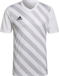 Koszulka męska adidas Entrada 22 Graphic Jersey biało-szara HF0129
