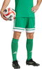 Spodenki męskie adidas Squadra 25 zielone JN7482