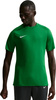 Koszulka męska NIke Dri-Fit Park VIII zielona HV8173 302