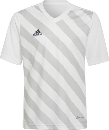 Koszulka dla dzieci adidas Entrada 22 Graphic Jersey biało-szara HF0120
