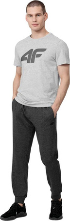 Koszulka męska 4F szara H4Z22 TSM353 27M