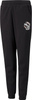Spodnie dla dzieci Puma Alpha Sweatpants FL czarne 589235 01