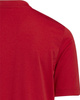 Koszulka dla dzieci adidas Entrada 22 Graphic Jersey czerwona H58983