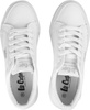 Buty damskie Lee Cooper białe LCW-22-31-0884LA