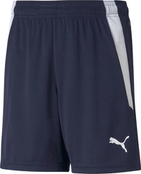 Spodenki dla dzieci Puma teamLIGA Shorts Jr granatowe 704931 06