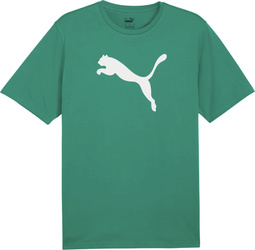 Koszulka męska Puma Team Rise Logo Jersey Cotton zielona 658705 05