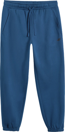 Spodnie męskie 4F CAS M1140 niebieskie 4FWMM00TTROM1140 46S