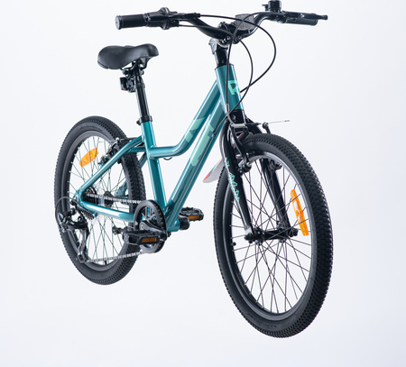 Dziecięcy rower Radvik Viking 20 rozmiar koła 20"