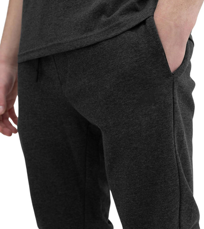 Spodnie męskie 4F M223 szare 4FSS23TTROM223 23M