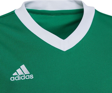 Koszulka dla dzieci adidas Entrada 22 Jersey zielona HI2126
