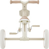 Rowerek Trójkołowy/biegowy Learning Trike 2w1 Plus Ecologic (737-466)