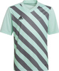 Koszulka dla dzieci adidas Entrada 22 Graphic Jersey miętowo-szara HF0127