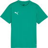 Koszulka dla dzieci Puma TeamGoal Jersey zielona 658637 05