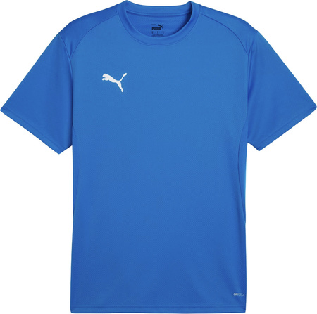 Koszulka męska Puma TeamGoal Jersey niebieska 658636 02