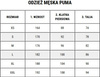 Koszulka męska Puma teamLIGA Jersey biała 704917 04