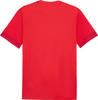 Koszulka męska Puma teamGoal Matchday Jersey czerwona 705747 01