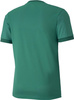 Koszulka męska Puma teamGOAL 23 Jersey zielona 704171 05