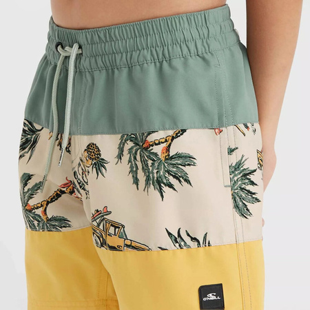 Dziecięce szorty O'neill MIX