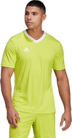Koszulka męska adidas Entrada 22 Jersey limonkowa HC5077