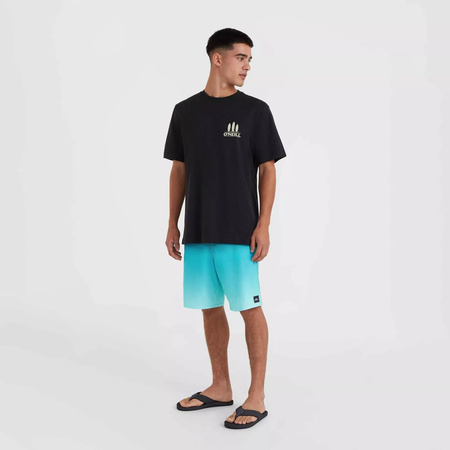 Męska koszulka z krótkim rękawem O'neill O'NEILL BEACH GRAPHIC T-SHIRT black out rozmiar L