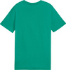 Koszulka dla dzieci Puma Team Goal Casuals Tee zielona 658616 05