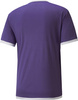 Koszulka męska Puma teamLIGA Jersey fioletowa 704917 10