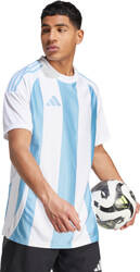 Koszulka męska adidas Striped 24 Jersey biało-błękitna IW4555