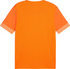 Koszulka męska Puma teamGoal Matchday Jersey pomarańczowa 705747 08