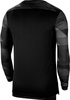 Bluza bramkarska męska Nike Dry Park IV JSY LS GK czarna CJ6066 010