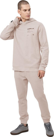 Spodnie męskie 4F beżowe H4Z22 SPMD015 83S