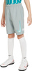 Spodenki dla dzieci Nike NK Df Academy Shrt Wp Gx szare CV1469 019