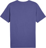 Koszulka męska Puma Graphics Wording Tee niebieska 684825 46